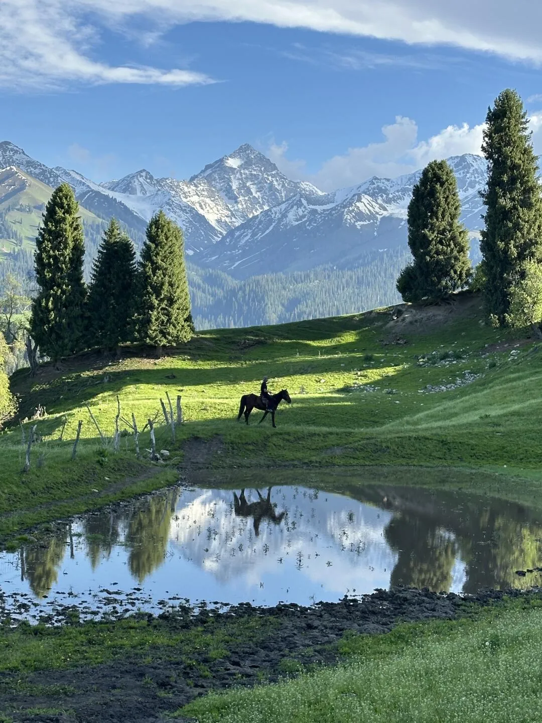 live｜Early Summer in Xinjiang