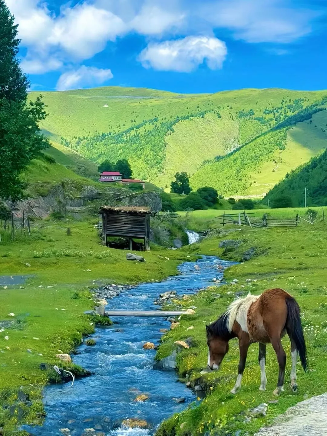 Healed by Western Sichuan! I've found the domestic version of Swiss Alps