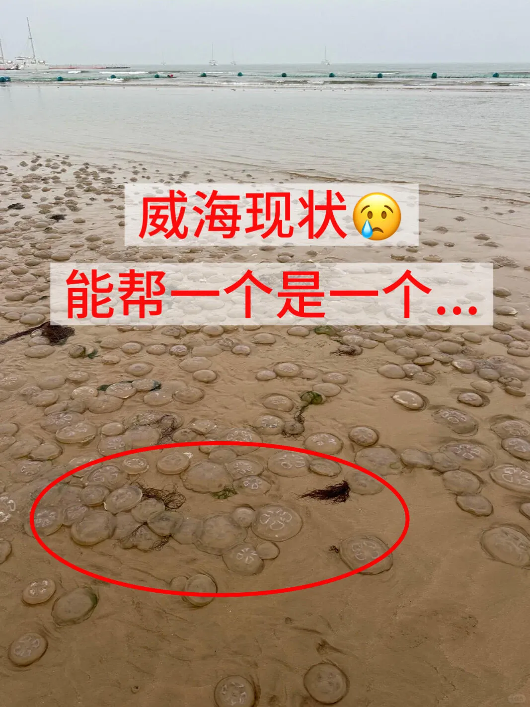 Back in Weihai, speechless 😓